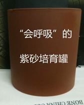 豆芽机家用育苗盘盆量大容量3-4斤特价菜发种芽苗罐桶生土陶瓷