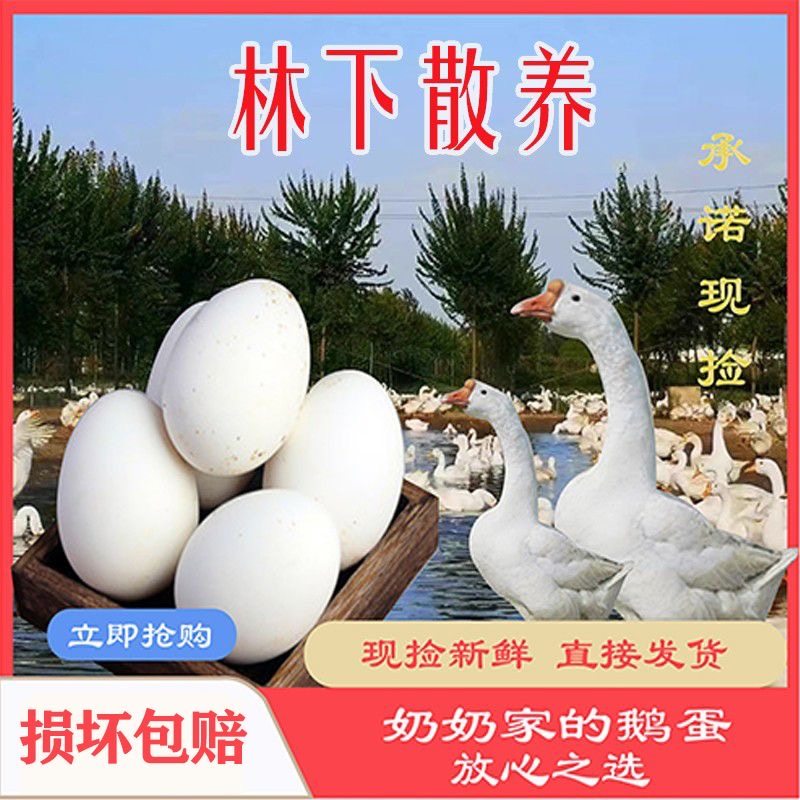12枚140-160克特大生鹅蛋双黄蛋鹅蛋新鲜农家散养正宗土鹅蛋孕妇,水产肉类/新鲜蔬果/熟食,鸡蛋,淘宝优惠券,粉丝福利购,淘宝优惠卷