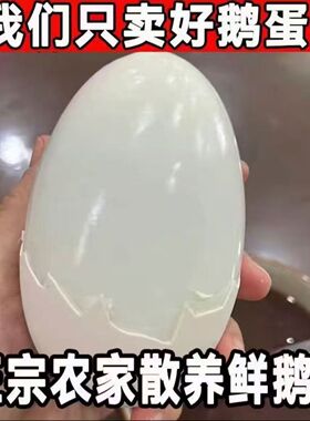 12枚230-260克保真正宗狮头大鹅蛋新鲜农家散养土鹅蛋孕妇顺丰