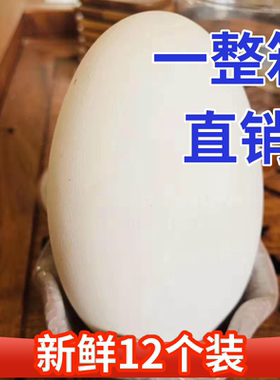 12枚140-160克特大生鹅蛋双黄蛋鹅蛋新鲜农家散养正宗土鹅蛋孕妇