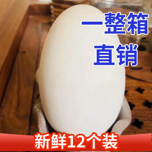 12枚140-160克特大生鹅蛋双黄蛋鹅蛋新鲜农家散养正宗土鹅蛋孕妇