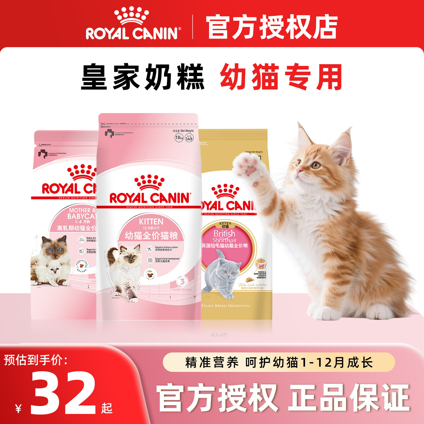 皇家幼猫猫粮离乳期小猫专用奶糕k36/k34官方期间店正品1-4月猫咪,宠物/宠物食品及用品,猫全价膨化粮,淘宝优惠券,粉丝福利购,淘宝优惠卷