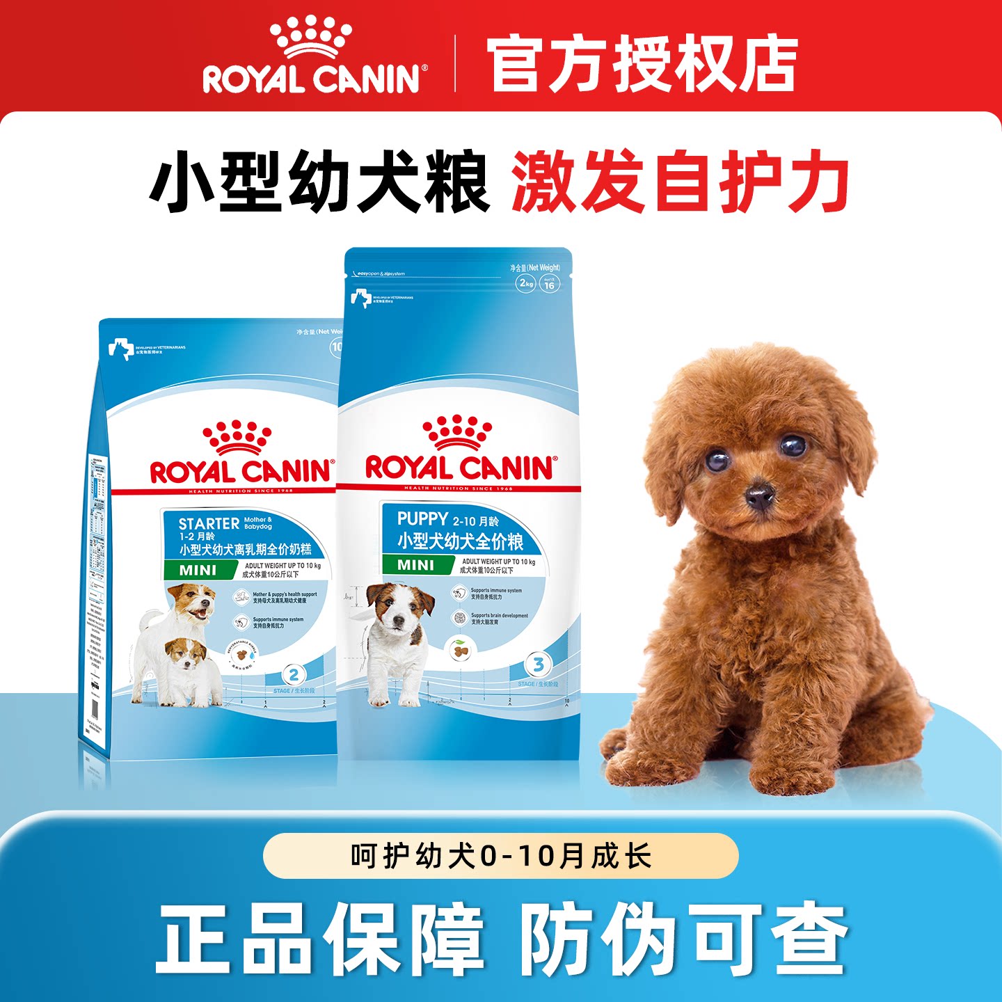 皇家奶糕狗粮小型犬幼犬粮泰迪比熊博美柴犬离乳期专用粮官方正品
