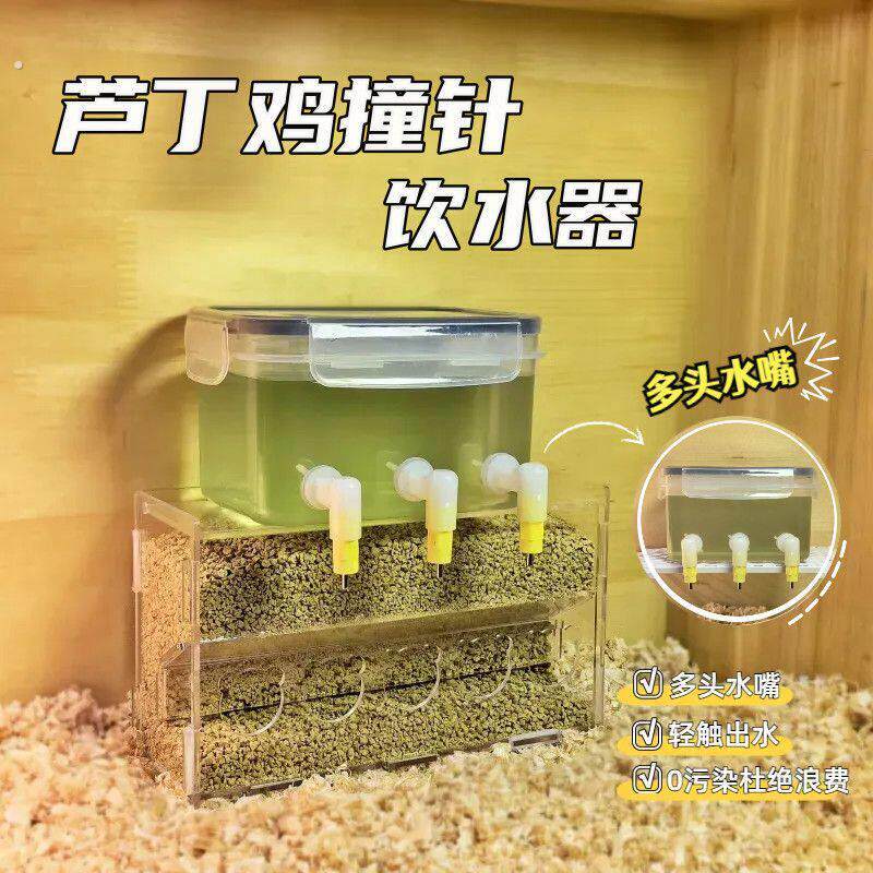 芦丁鸡鹌鹑多头撞针饮水器压克力饲料盒大容量水壶防刨食盒平台