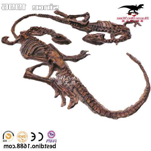 仿真动物恐龙骨架化石模型博物馆讲解展览主题公园引流艺术品摆件