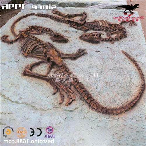 仿真动物恐龙骨架化石模型博物馆讲解展览主题公园引流艺术品摆件