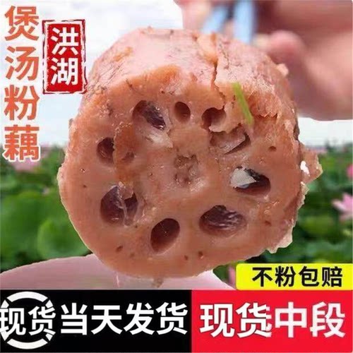 现货洪湖粉藕2026新鲜现挖粉糯红藕带泥打冰保鲜冷链发货包粉