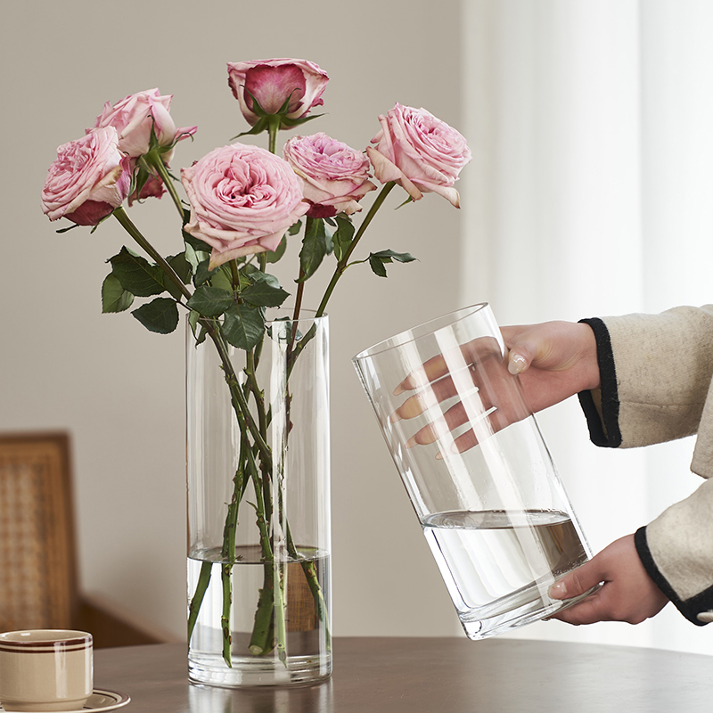 简约水养马醉木玻璃花瓶透明摆件