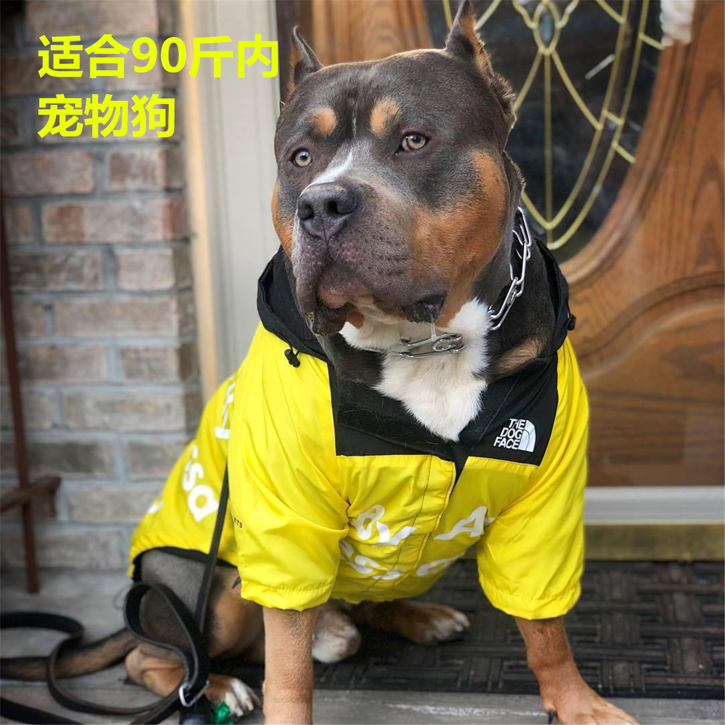 舒拜狗狗冲锋衣外套2件95折