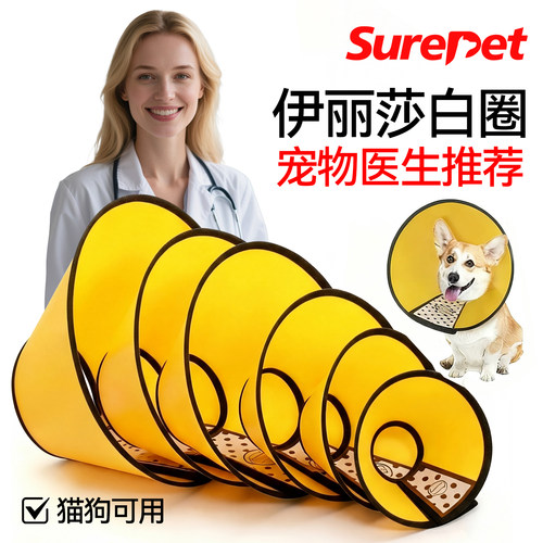 宠物伊丽莎白圈狗狗术后猫咪绝育