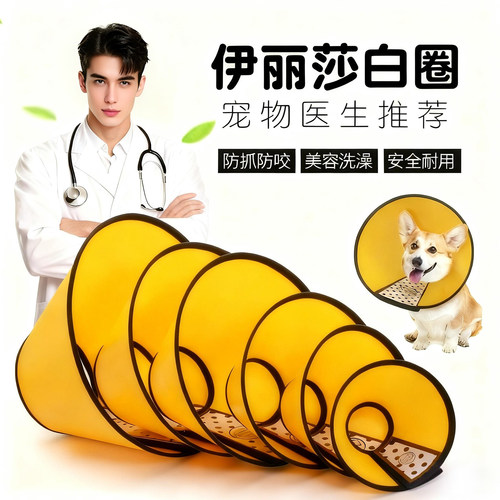 【优雅风格】宠物专用