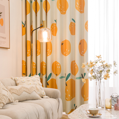 潮帘社遮光田园风简约现代