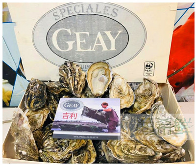 吉利生蚝N0N1N2号3只起售 Geay法国进口原箱吉尼牡蛎刺身即食西餐