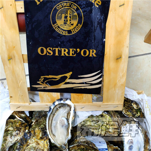 法国黄金蚝3只起售开壳即食