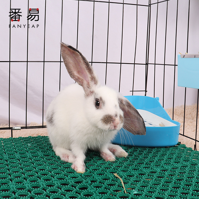 兔子脚垫A1P243-宠物可裁剪垫脚板笼子踏板咬拼接可弯曲塑