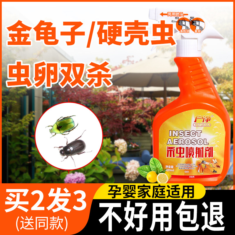 硬壳虫杀虫剂硬壳虫药金龟子绿僵菌金龟子杀虫剂黑皮蠹杀虫剂害虫