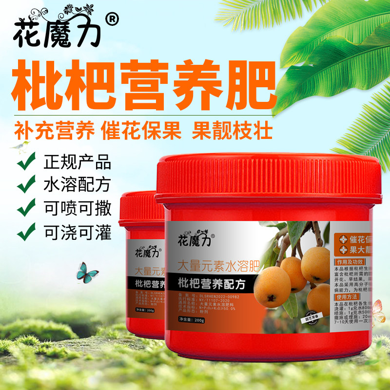 枇杷肥料金丸芦橘芦枝枇杷树红砂枇杷长虹枇杷白沙枇杷果树营养肥