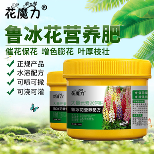 鲁冰花肥料多叶羽扇豆黄花鲁冰花画廊白花鲁冰花养护四季用营养肥