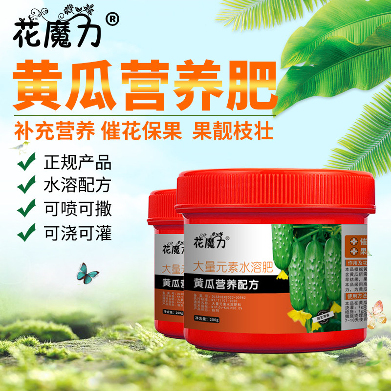 满地爬黄瓜盆栽专用营养肥水果旱黄瓜盆景果树催花保果阳台庭院肥