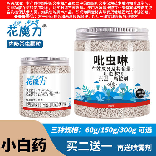 小白药多肉花卉介壳虫