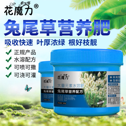 兔尾草肥料狗尾巴草美丽兔尾草狐尾草地栽园林四季养护专用营养肥