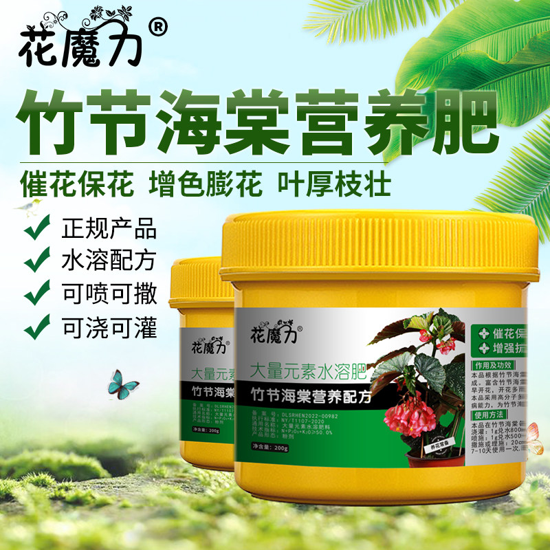 竹节海棠肥料慈姑秋海棠营养肥麻叶海棠斑叶海棠相思草催花四季肥图片