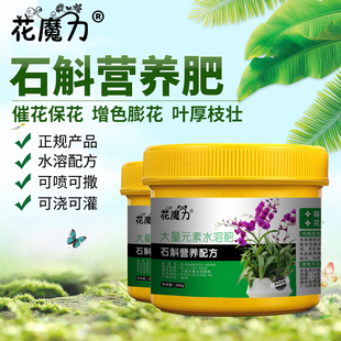 石斛专用营养肥盆栽不死草还魂草紫萦仙株林兰禁生增色家用园艺肥