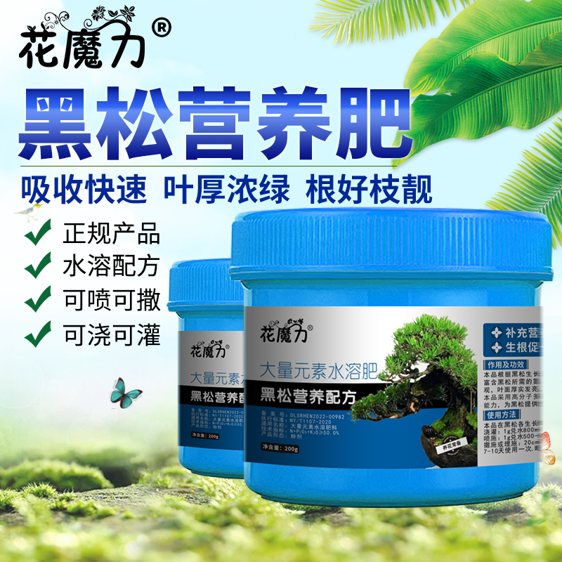 黑松肥料白芽松盆景松子银山松地栽园林观叶植物养护专用营养肥