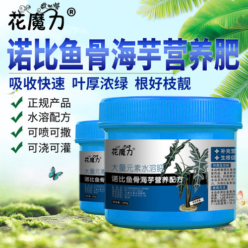 诺比鱼骨海芋肥料Alocasia Nobilis盆景室内四季养护专用营养肥