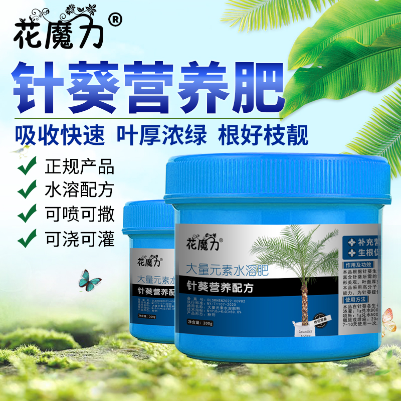 花魔力针葵专用肥厂家批零