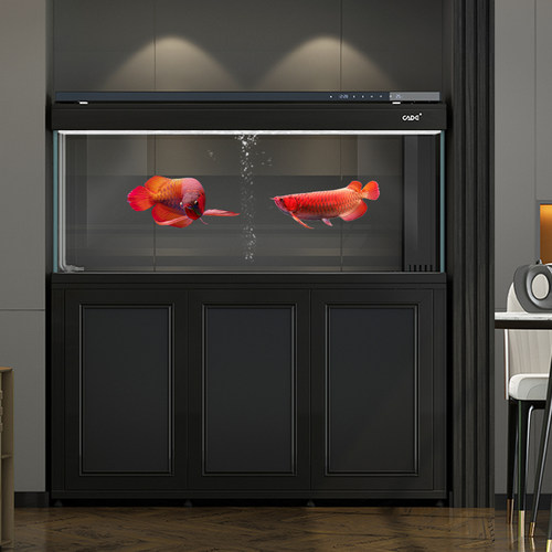 彩鲽新款客厅超白玻璃底过滤缸