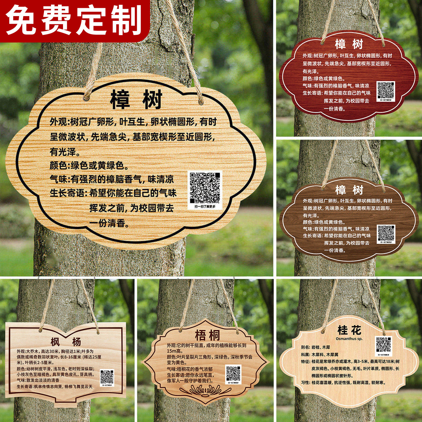 定制树牌树木介绍标识牌挂牌明树环扣标牌树名户外水果树吊牌亚克力植物不锈钢树名金属标志牌植物绿化牌铭牌