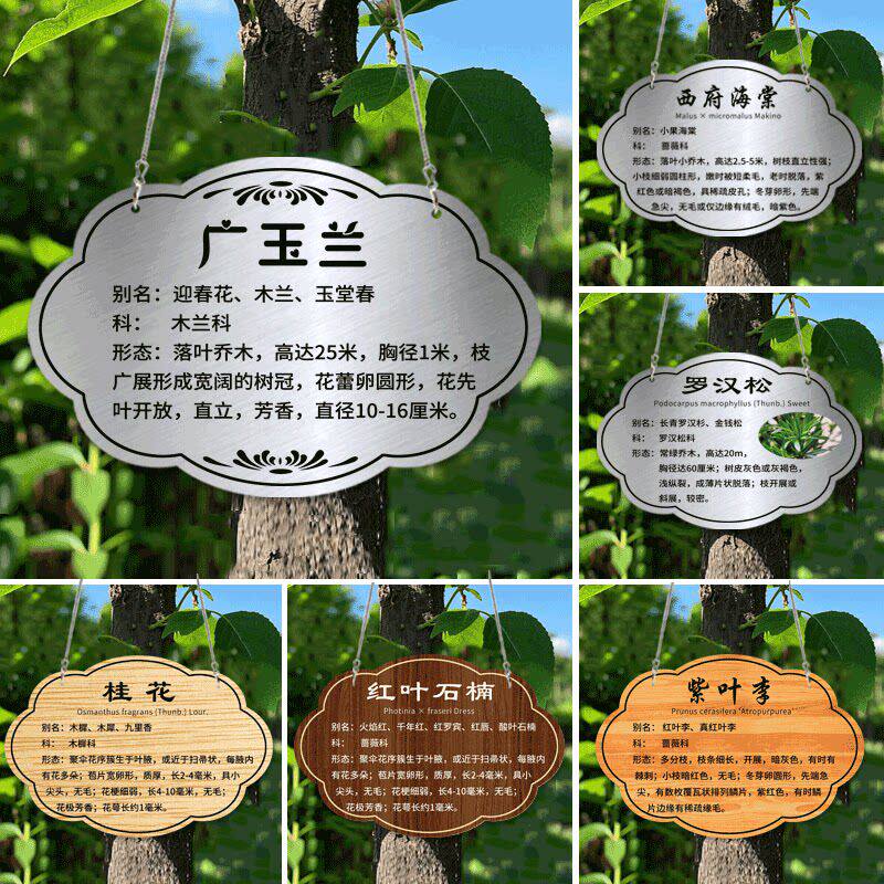 不锈钢树牌树木介绍标识牌挂牌定制明树环扣标牌树名户外水果树吊牌亚克力植物树名金属标志牌植物绿化牌铭牌