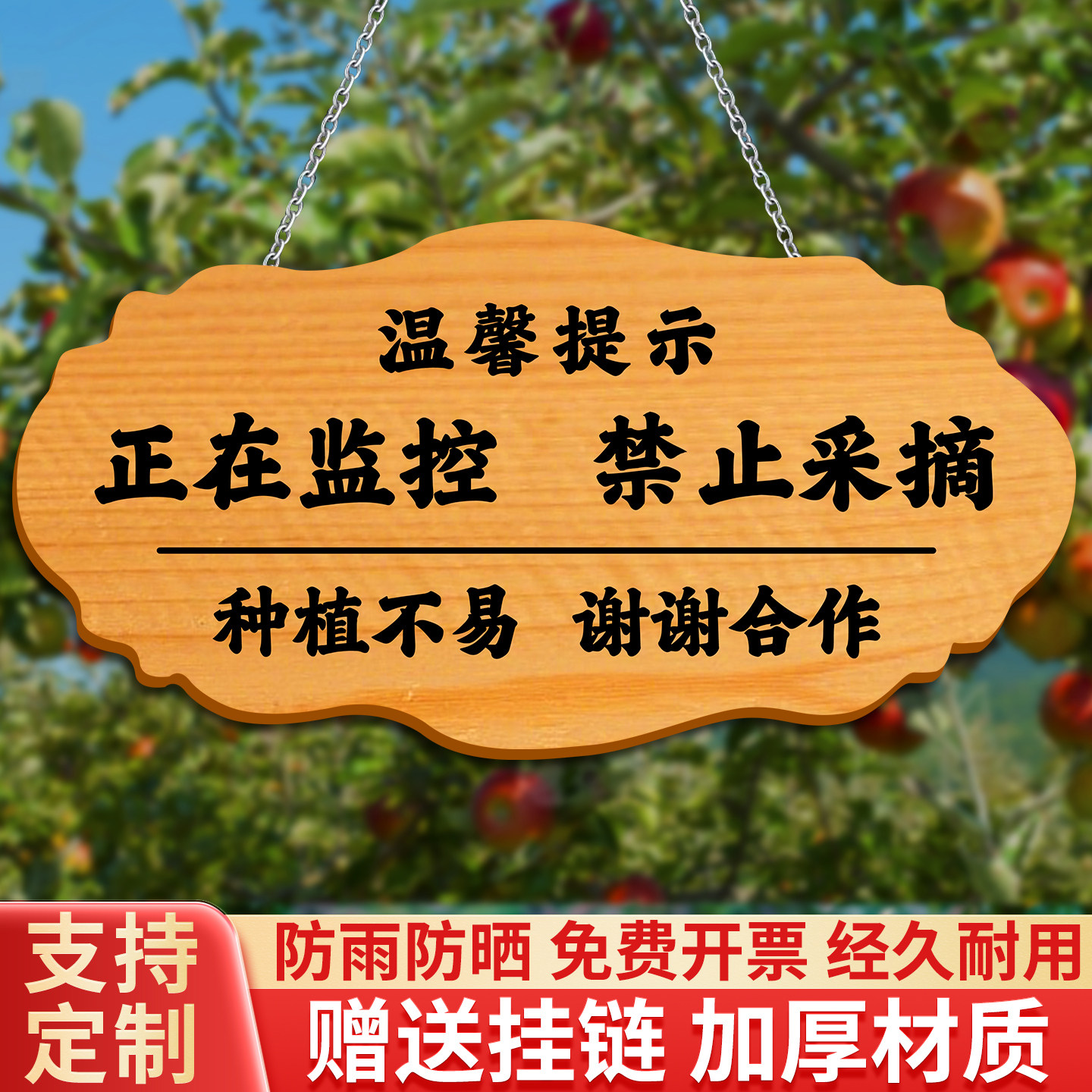 禁止采摘警示牌挂牌加厚