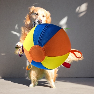 狗狗巨型耐咬解闷自嗨球玩具