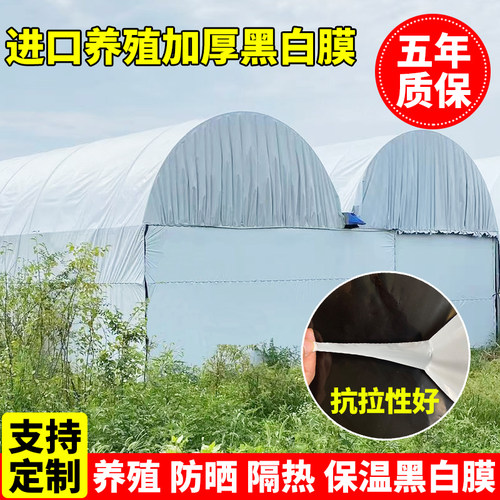 进口抗老化加厚养殖隔热黑白膜