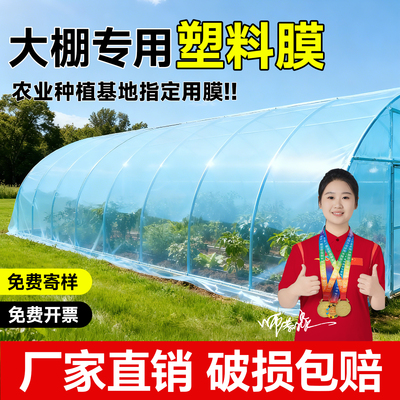 大棚专用塑料膜抗老化加厚保温膜