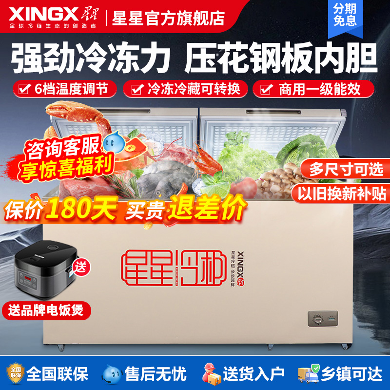 星星冰柜商用大容量冷冻柜