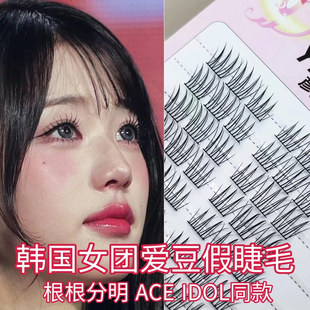 根根分明韩国女团ace假睫毛爱豆同款 自然仿真懒人三部曲单簇分段