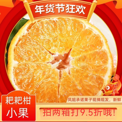 正宗四川眉山耙耙柑孕妇小孩水果甜易剥皮24净重8斤现摘现发