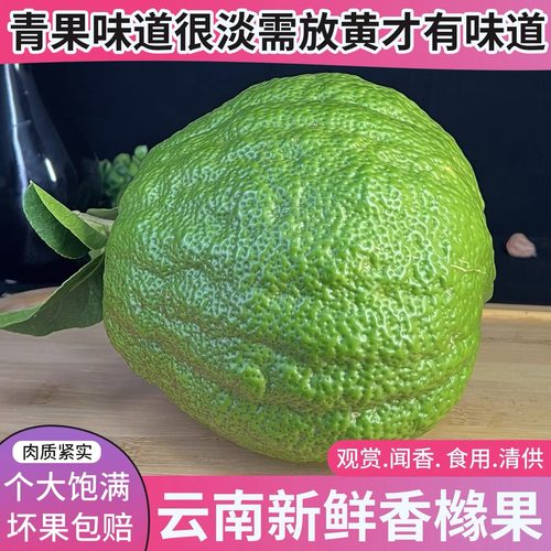 云南高山香橼果食用闻香香橼