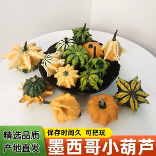墨西哥葫芦小南瓜花新鲜佛手柑家居桌面摆件搭配送伴手礼把玩文玩
