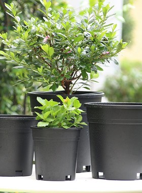 阳台园艺黑色加仑盆透气塑料花盆室内家用种植盆景盆多肉花卉花盆