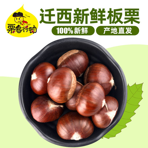 栗客行动板栗&ldquo;生吃脆甜，熟吃香甜软糯！&rdquo;