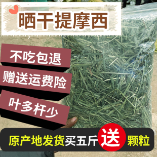 2023头茬晒干嫩苗兔子龙猫荷兰猪干草提摩西磨牙猫粮两斤 兔粮 包邮