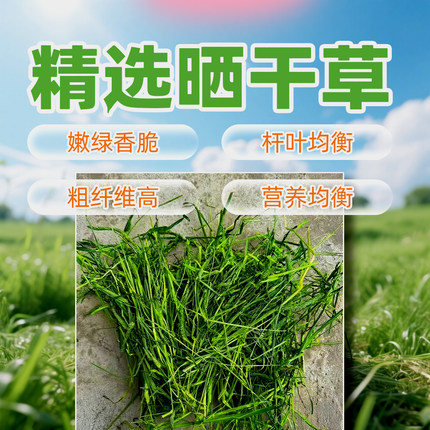 2025头茬晒干嫩苗兔子龙猫荷兰猪干草提摩西磨牙猫粮两斤包邮兔粮