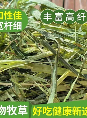 2024新草晒干燕麦国产绿嫩磨牙兔兔荷兰猪龙猫兔粮绿色健康营养