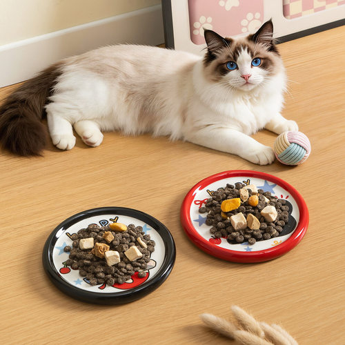 猫碗陶瓷碟子宠物碗湿粮碗罐头冻干饭碗可爱狗碗不压胡须猫咪餐盘