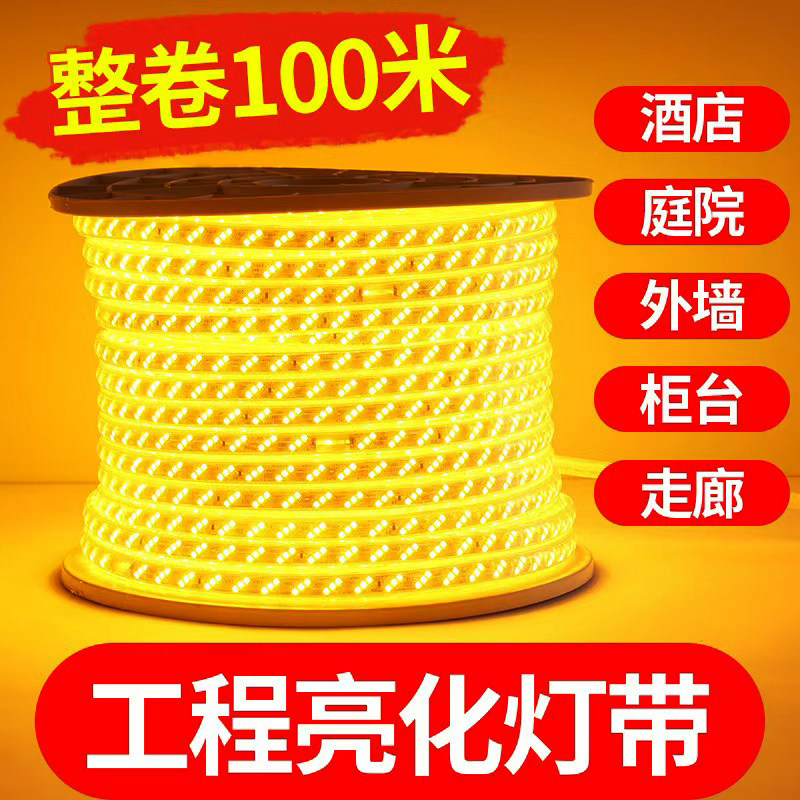 家用户外防水led灯带条超高亮白光灯带室外外墙工地隧道照明220V
