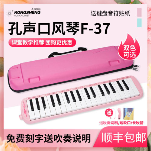 学生儿童演奏初学送吹管口风琴